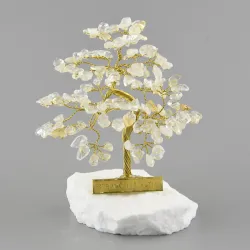 Stromeček štěstí R4 bonsai - citrn