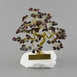 Stromeček štěstí R4 bonsai - býčí oko