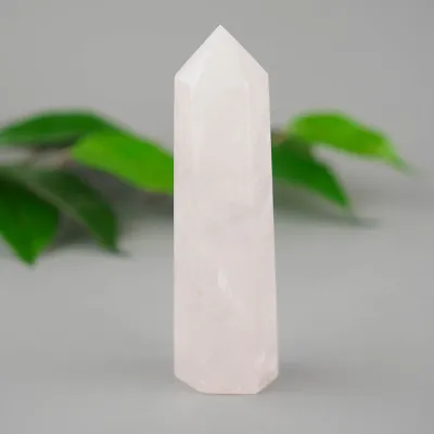 Obelisk růženin Brazílie