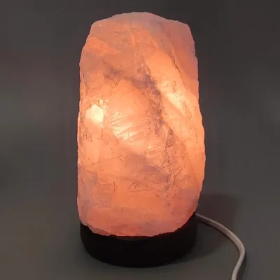 Růženín elektrická lampa
