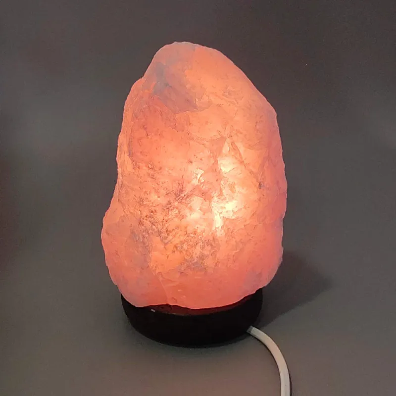 Růženín elektrická lampa