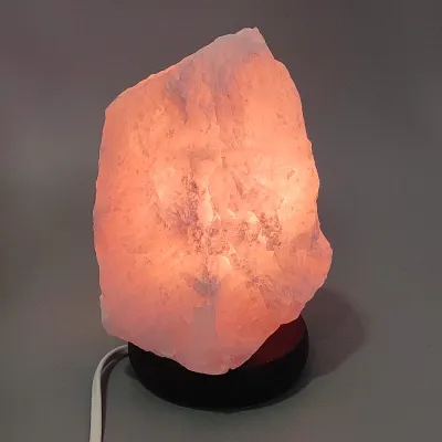 Růženín elektrická lampa